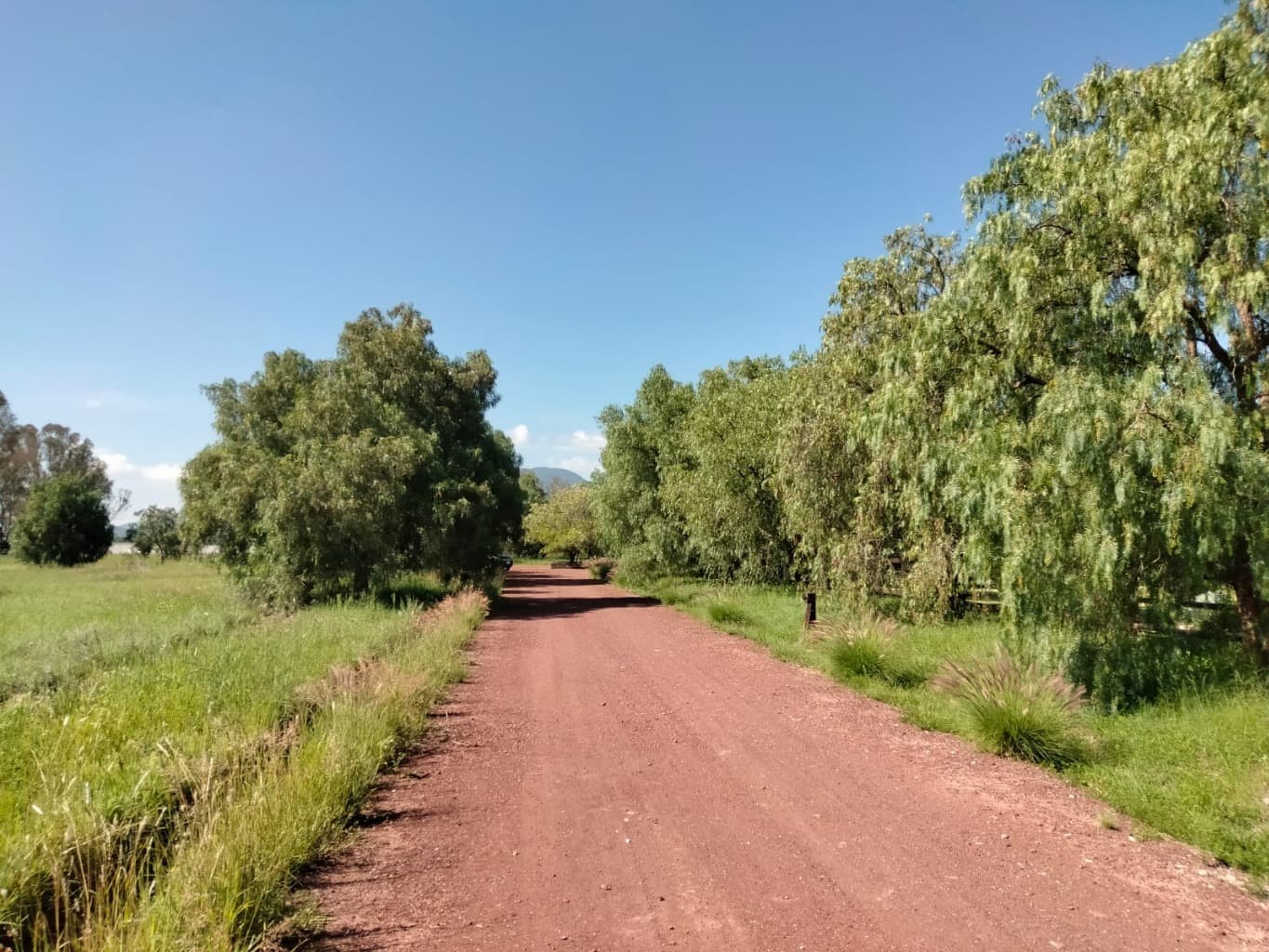 image-17