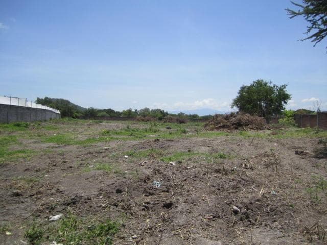 image-0