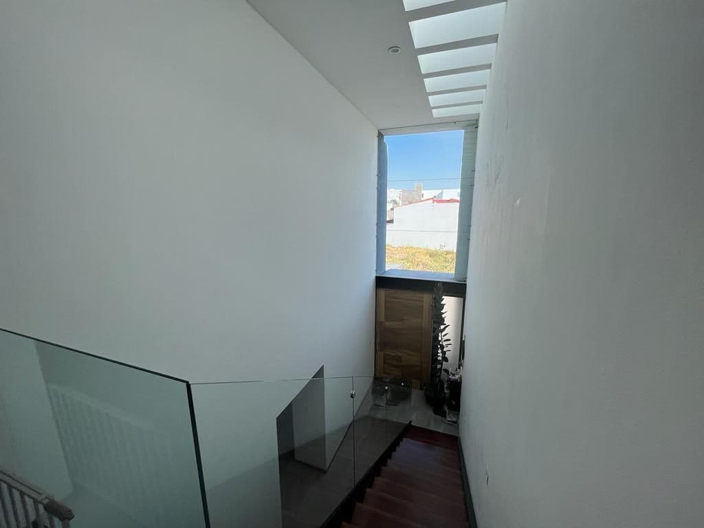 image-19