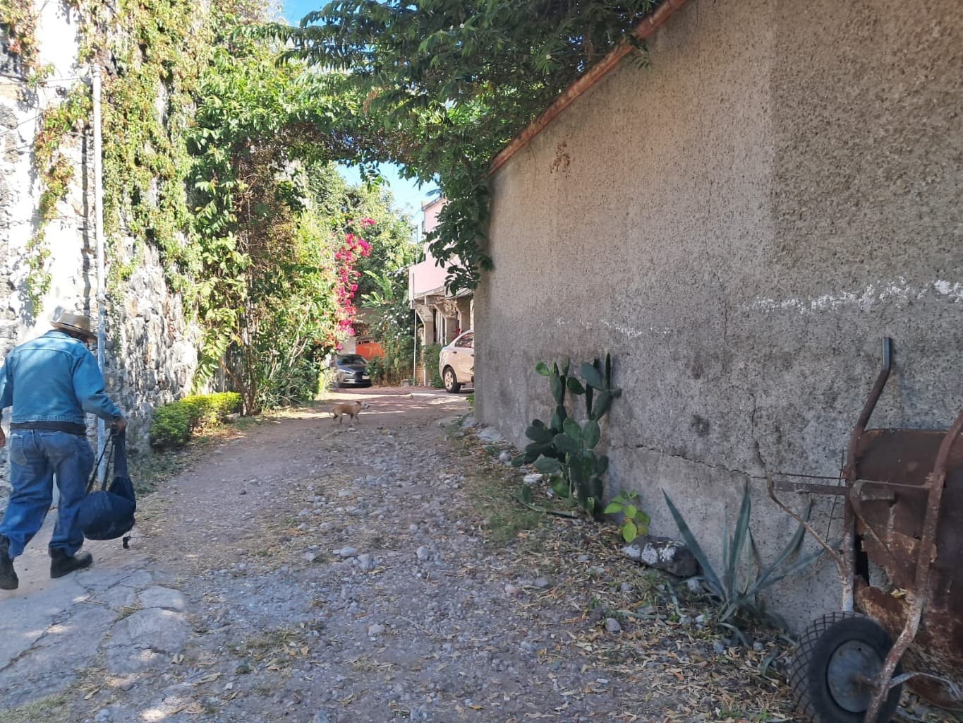 image-6