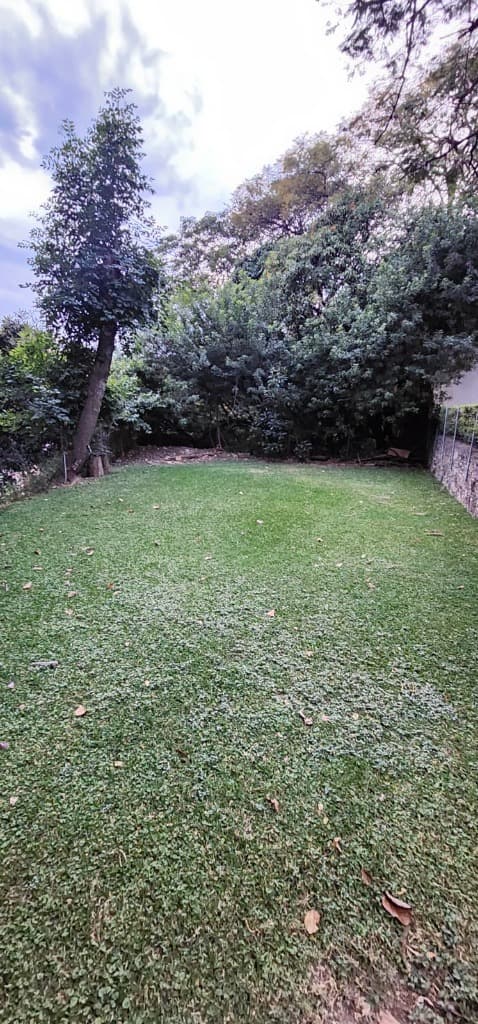 image-35