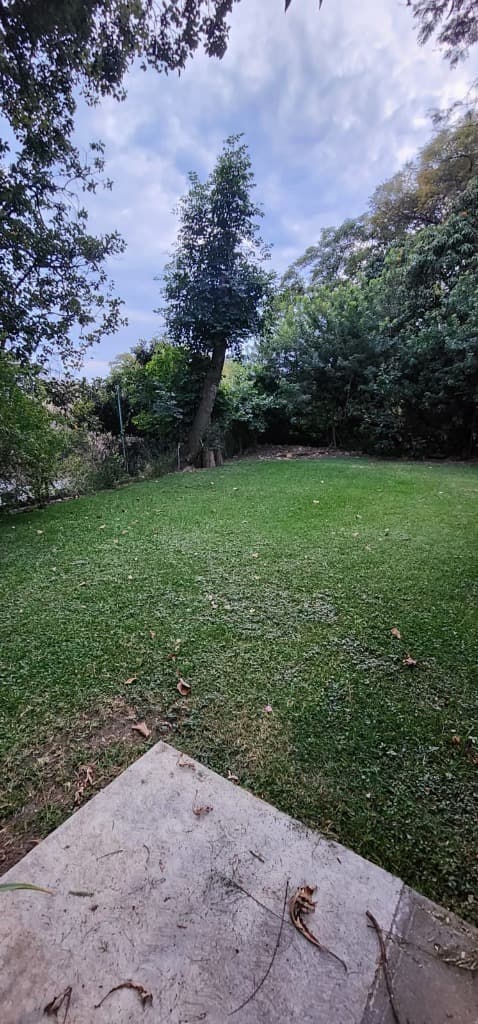 image-34