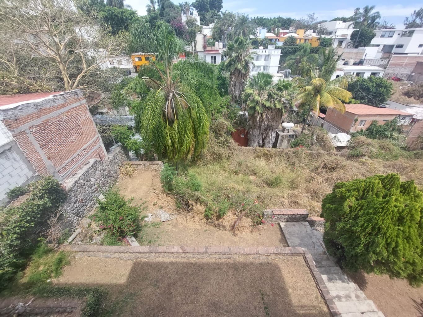 image-3