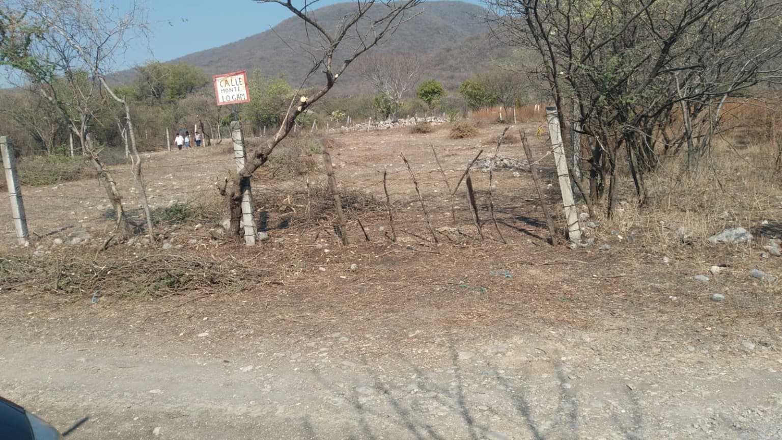 image-0