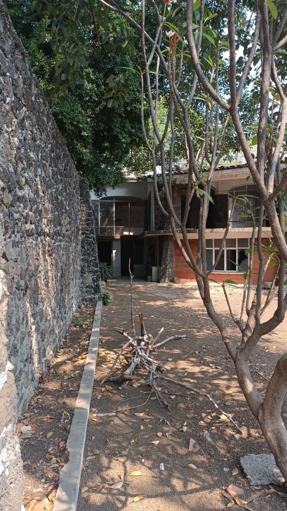 image-20