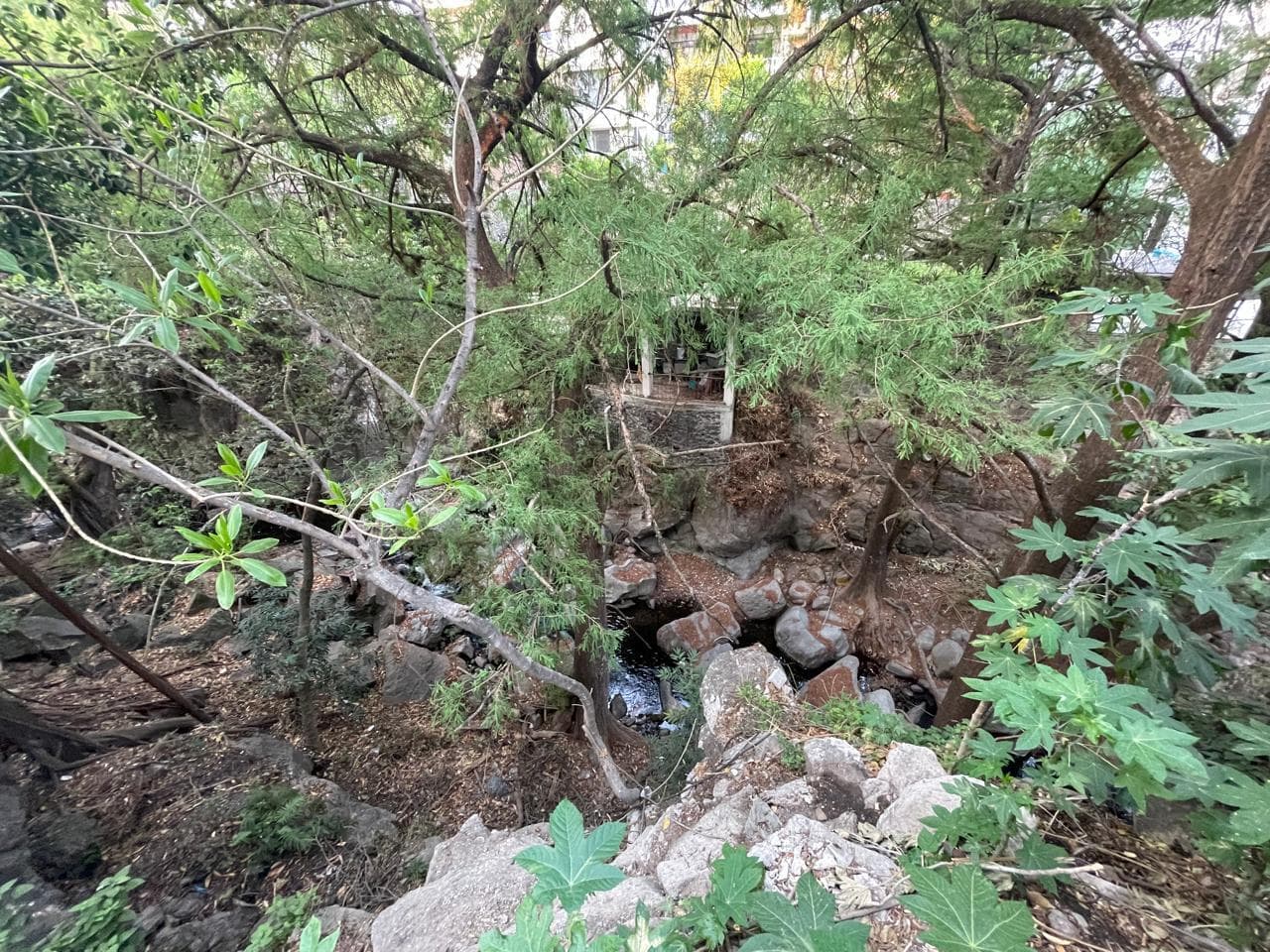 image-18