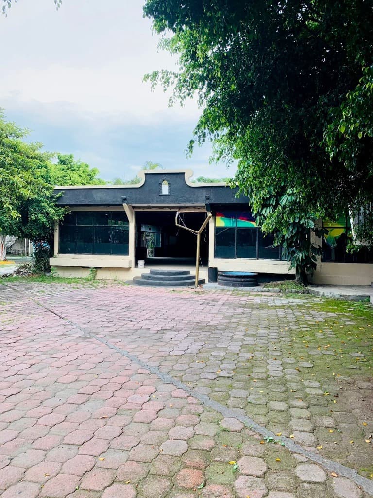 image-2