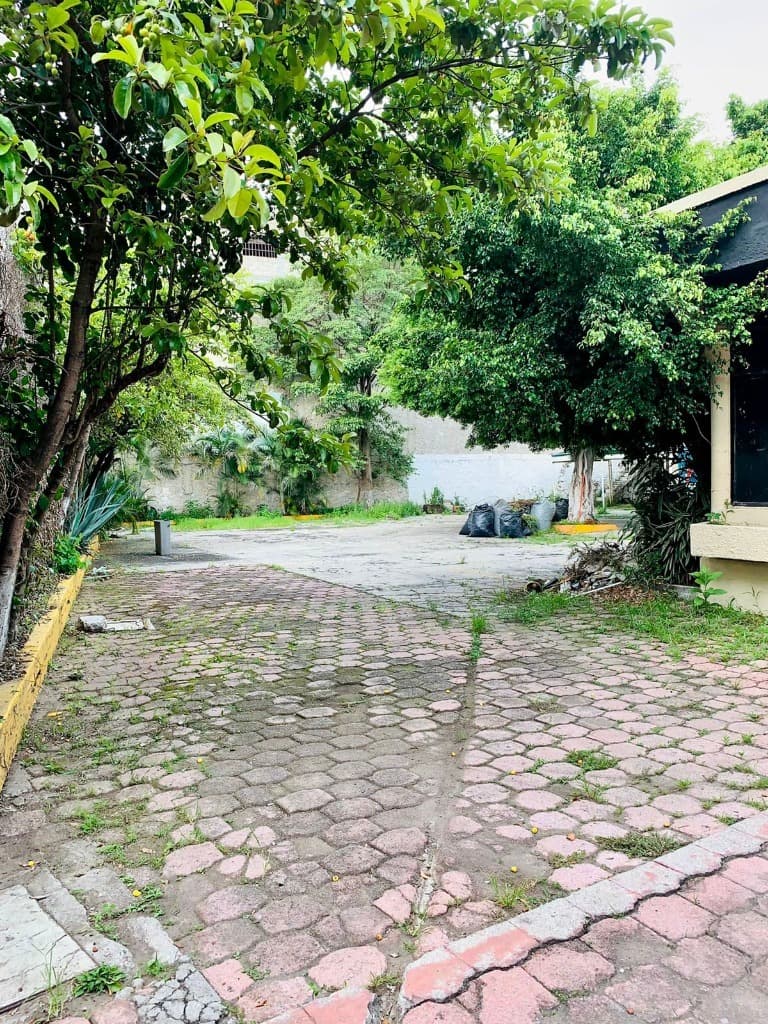 image-3