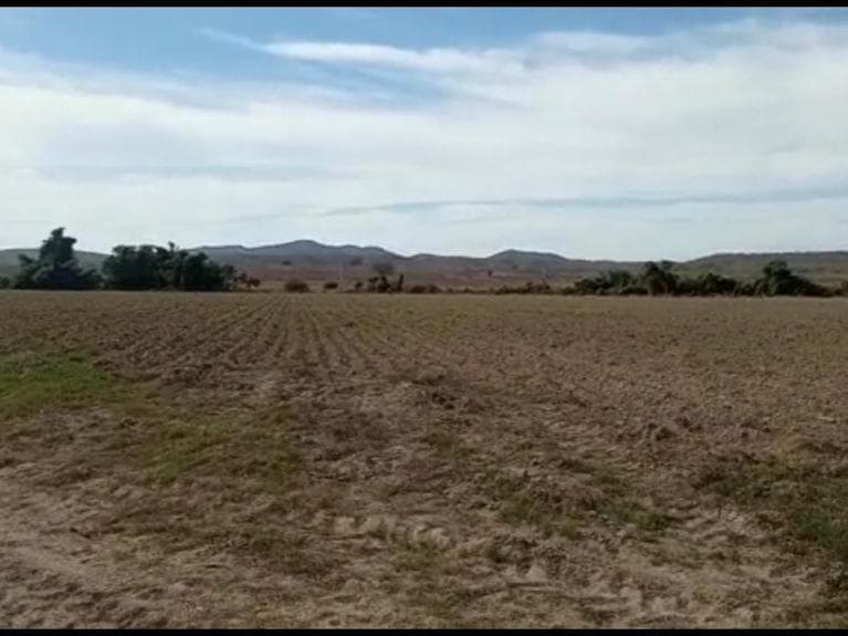 image-19