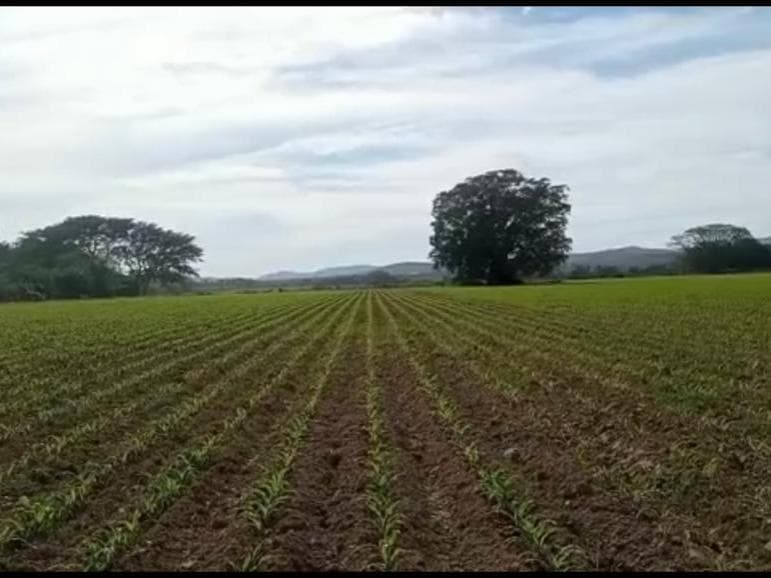 image-17