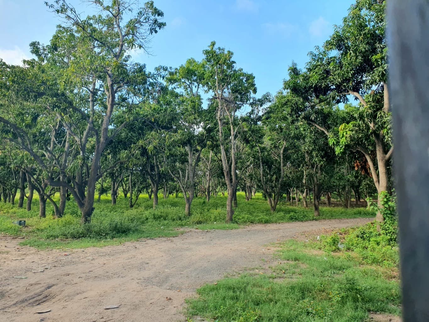 image-6