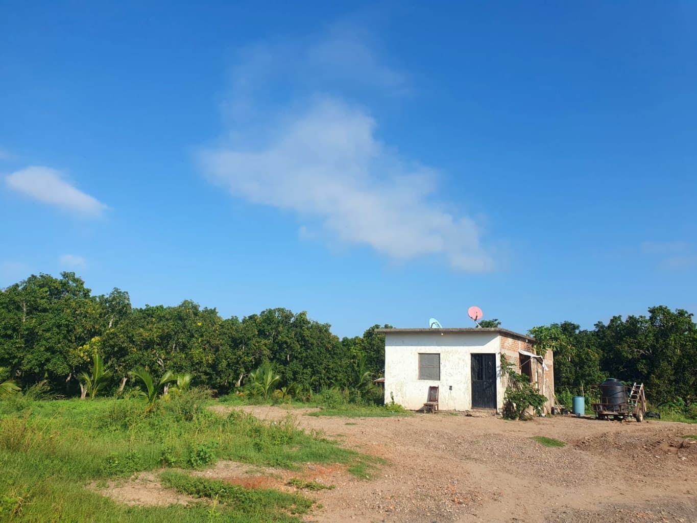 image-4