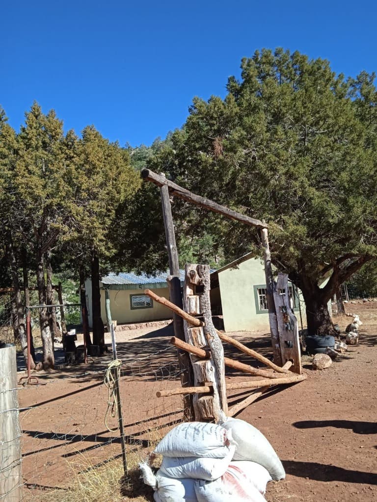image-6