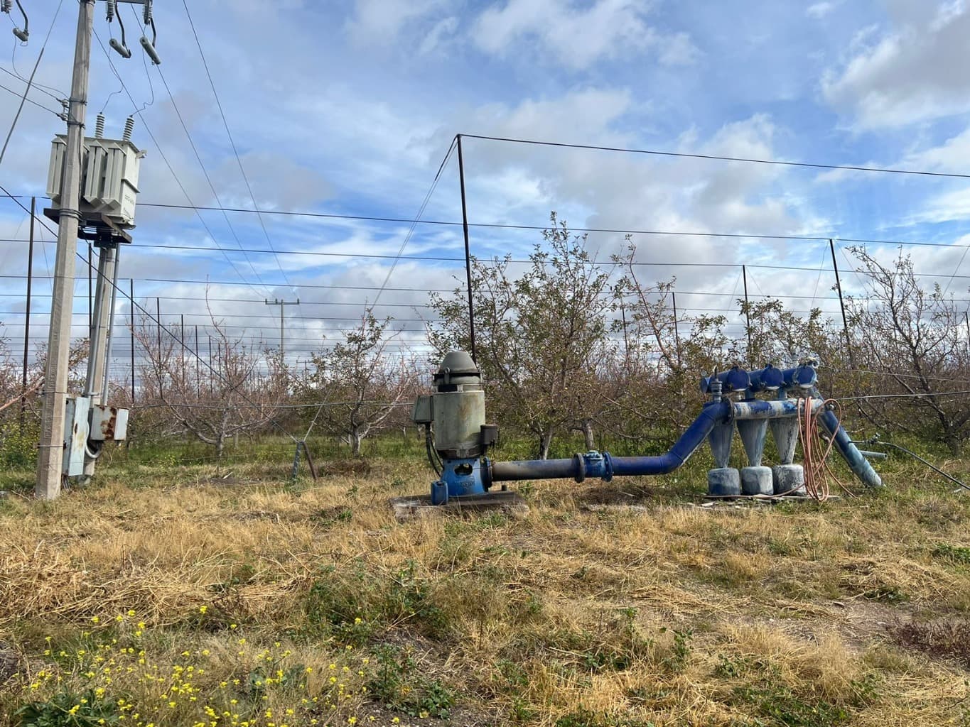 image-9