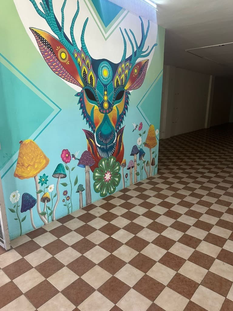 image-5