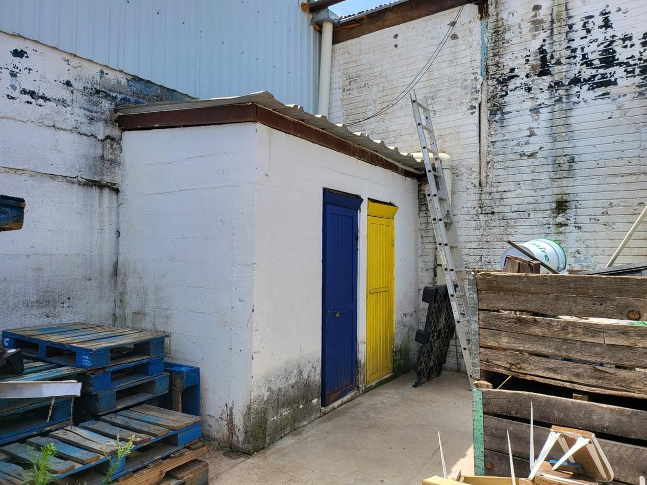 image-5