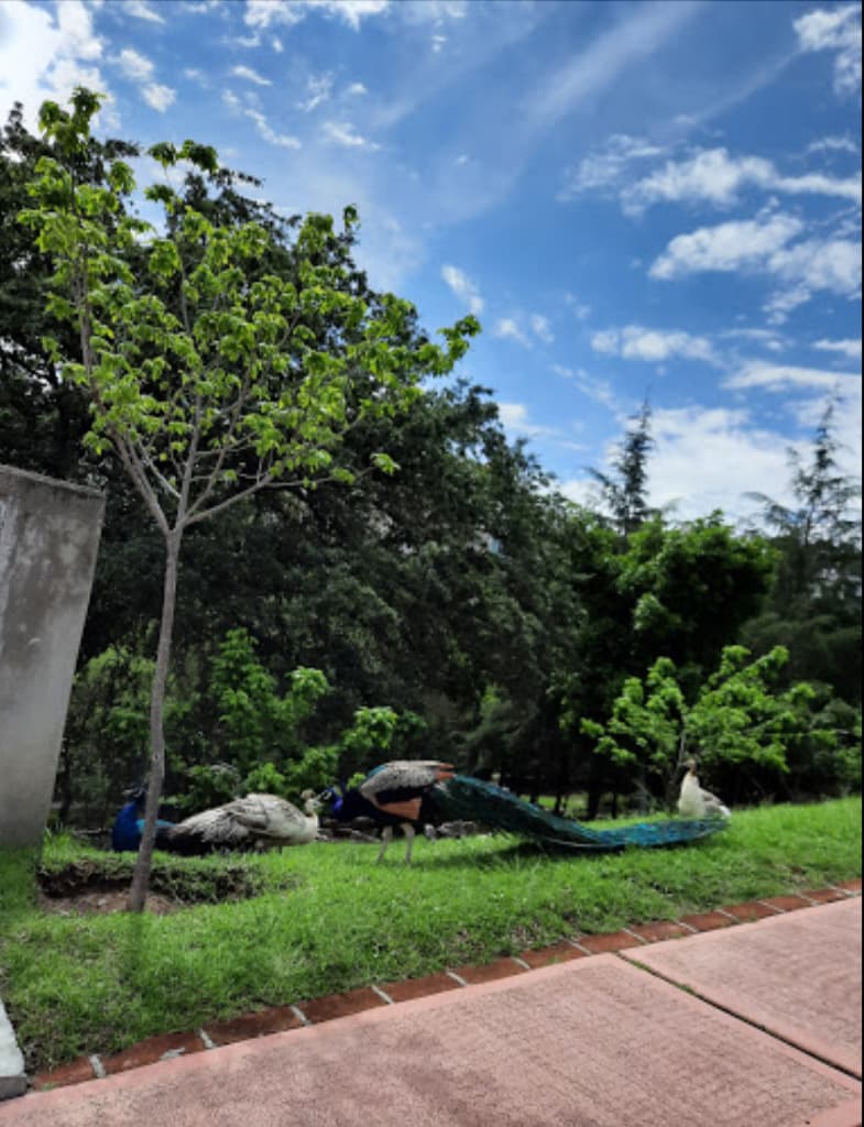 image-15