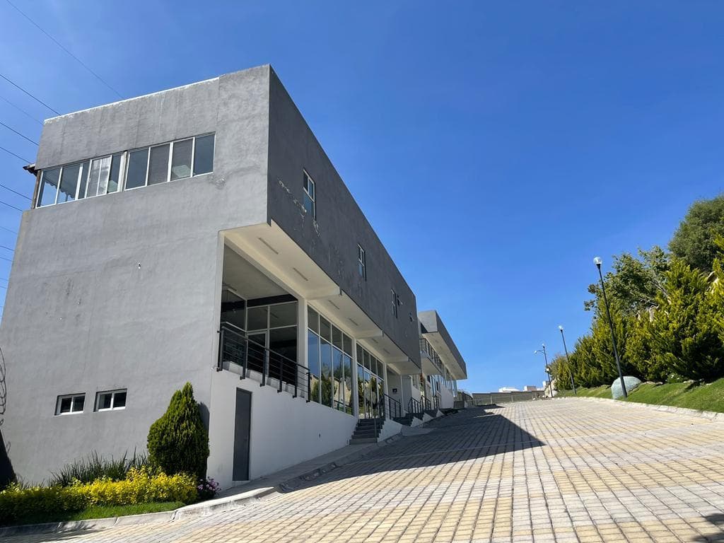 image-19