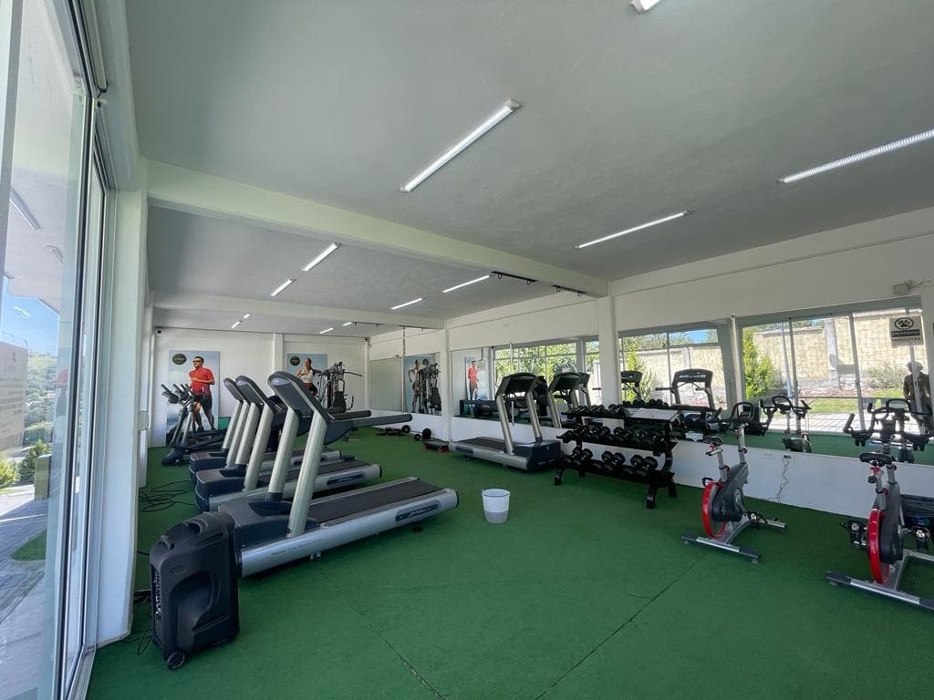 image-20