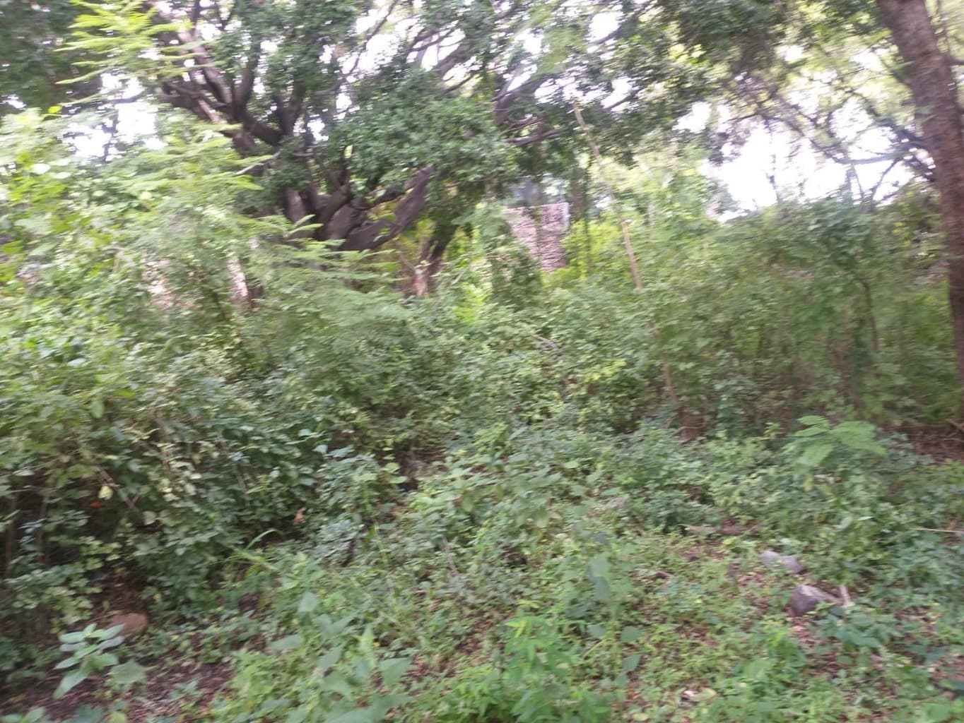image-4