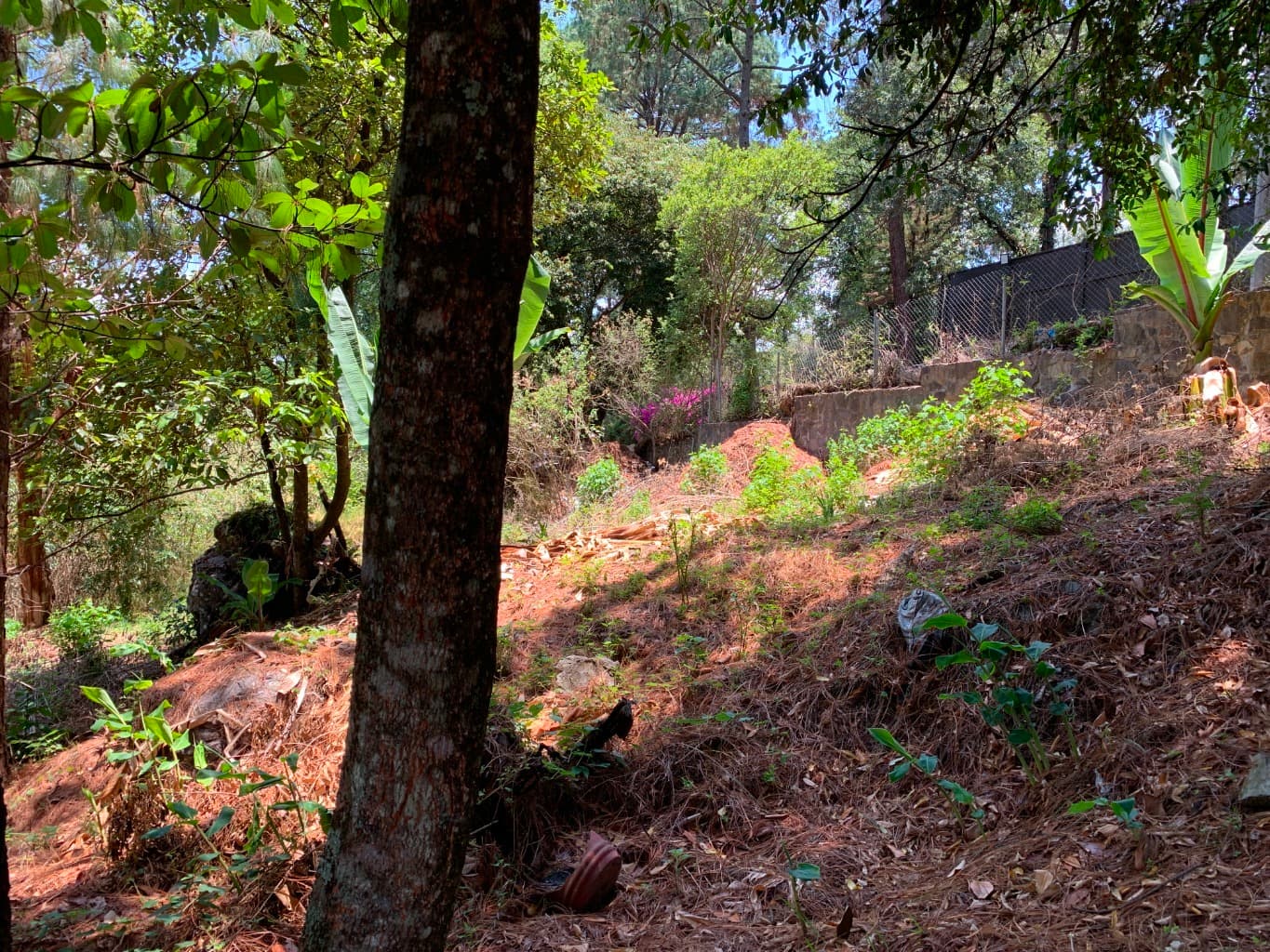 image-8