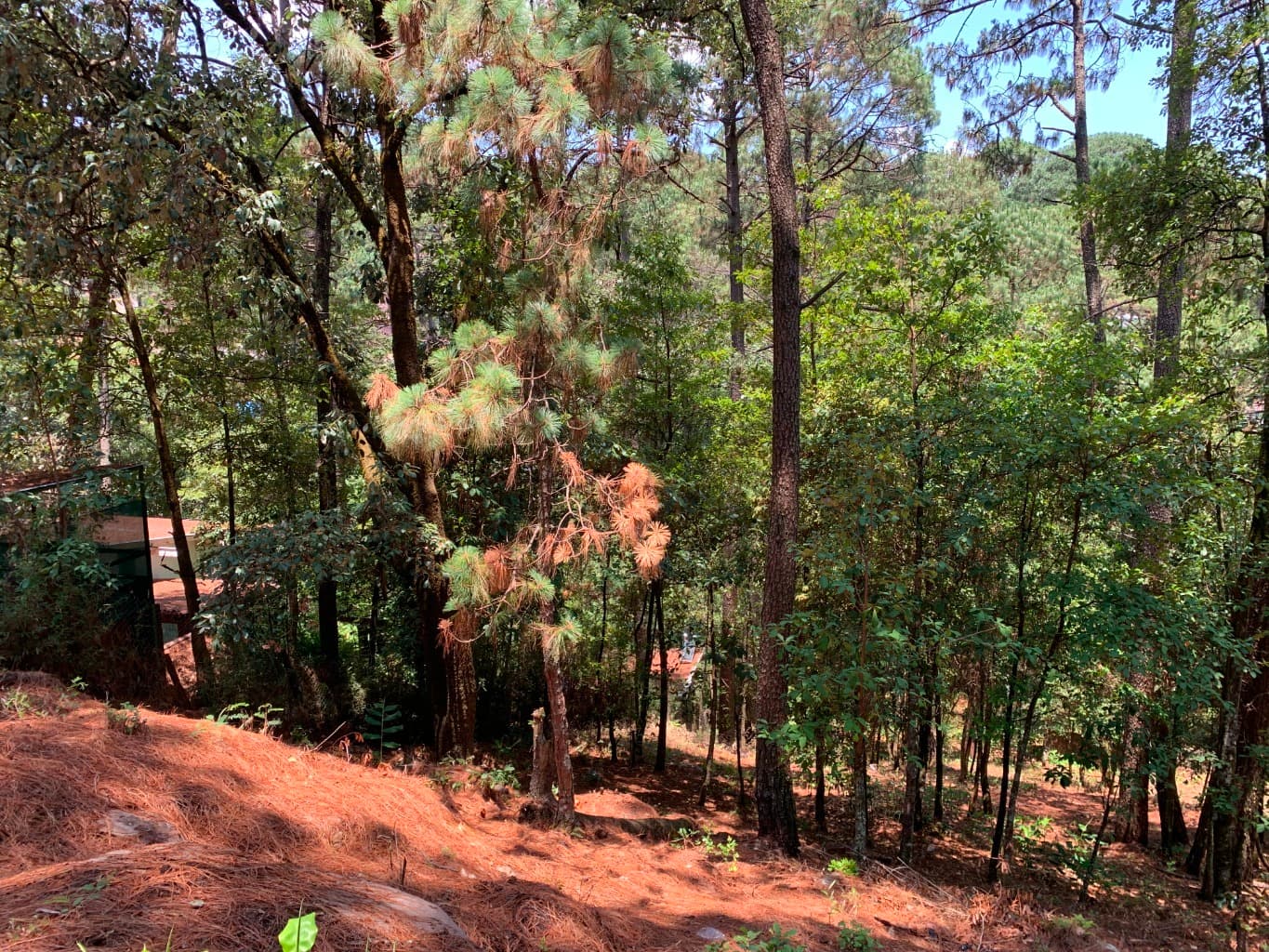 image-10