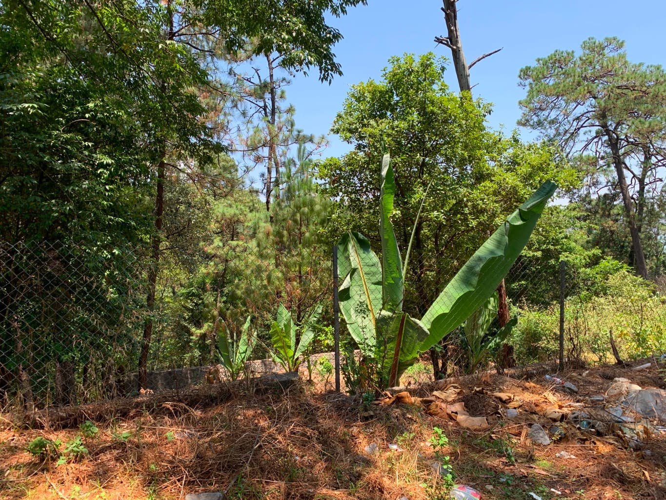 image-18