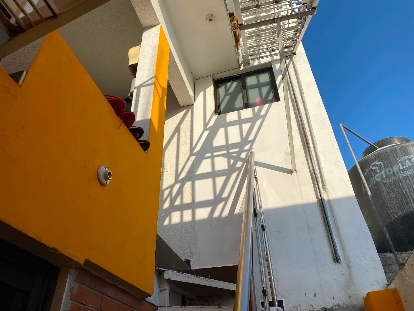 image-9