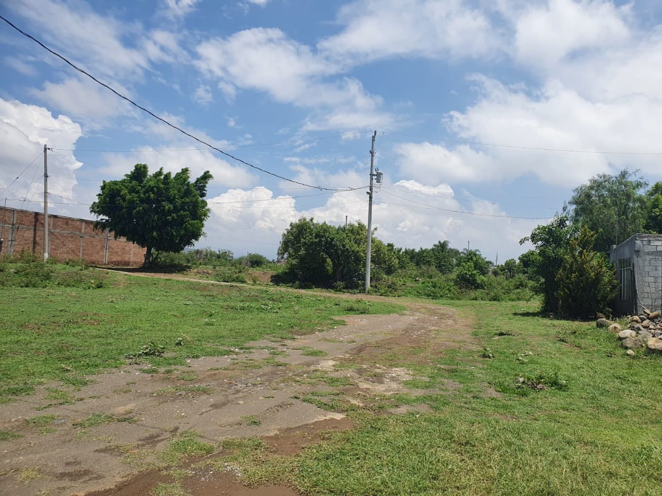 image-0