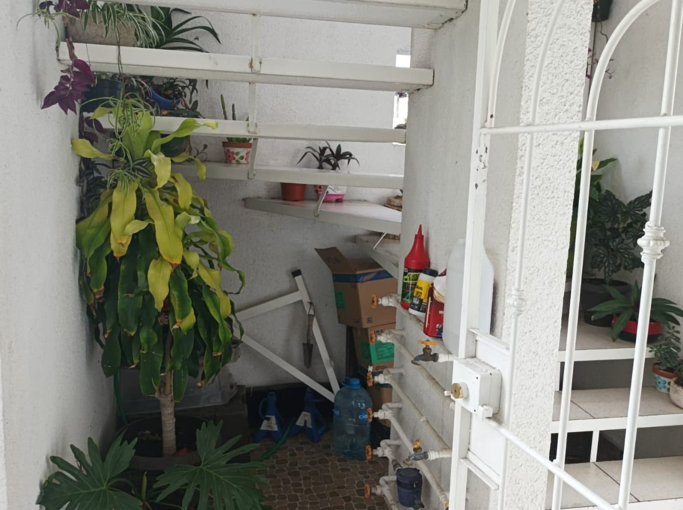 image-2