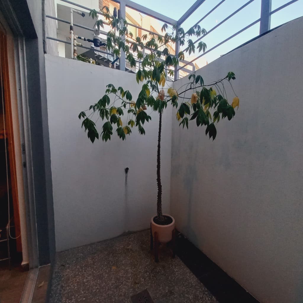 image-20