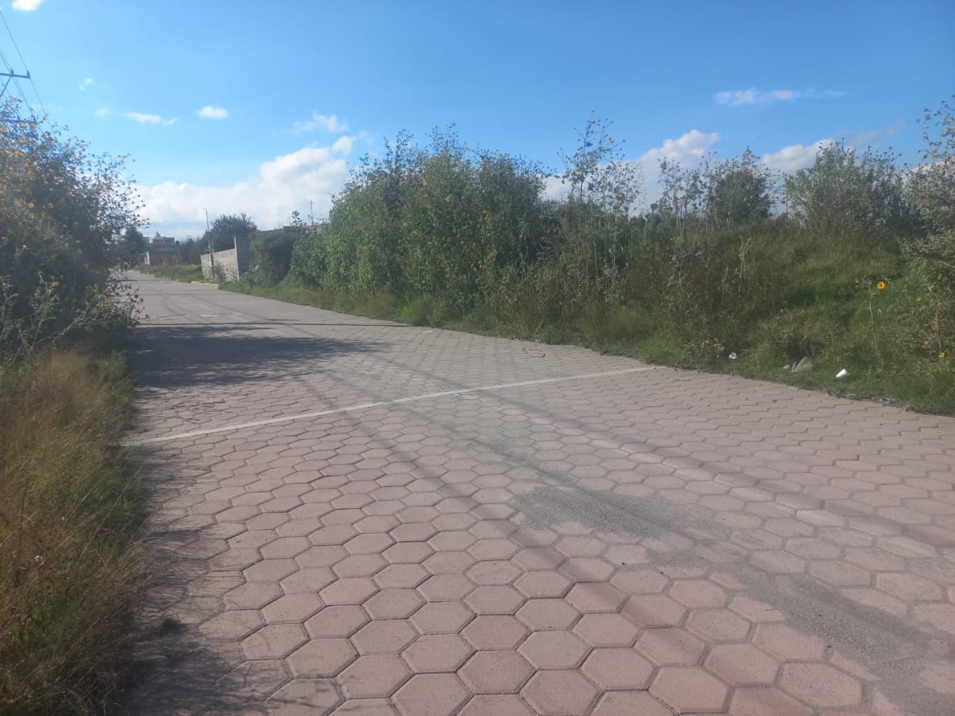 image-0