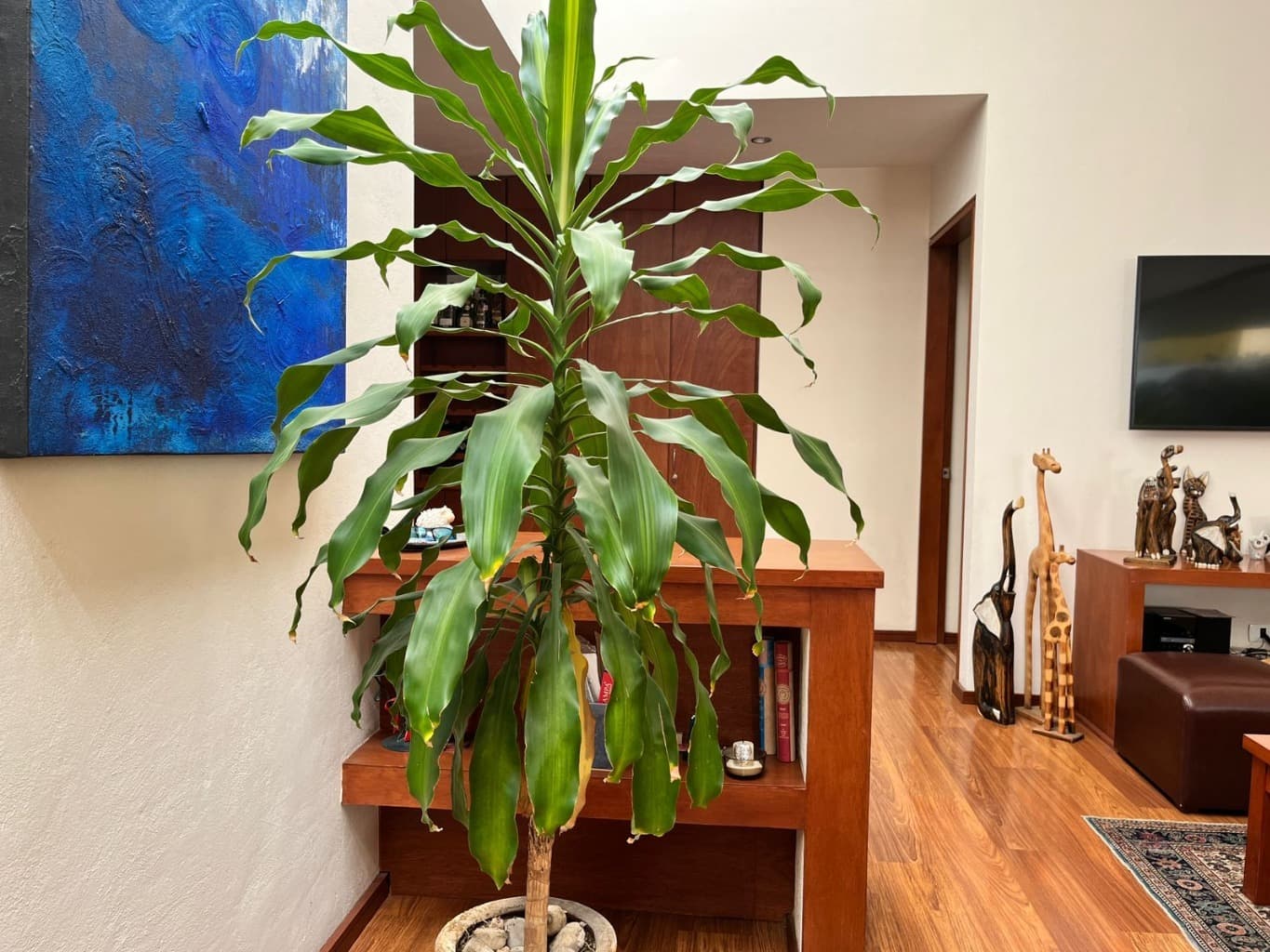 image-41