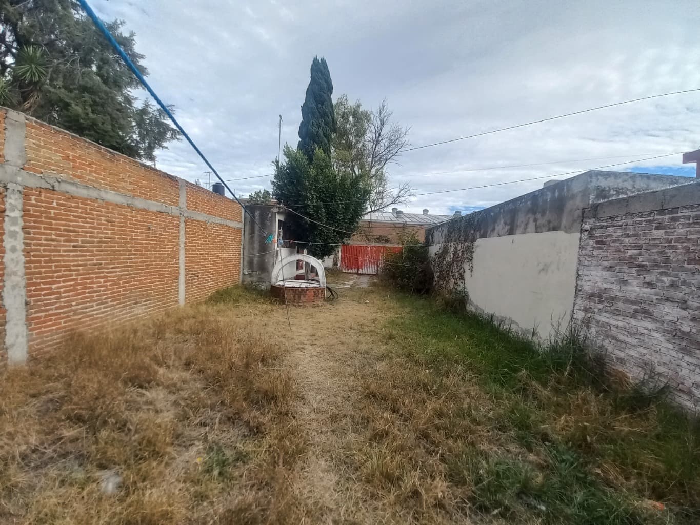 image-0
