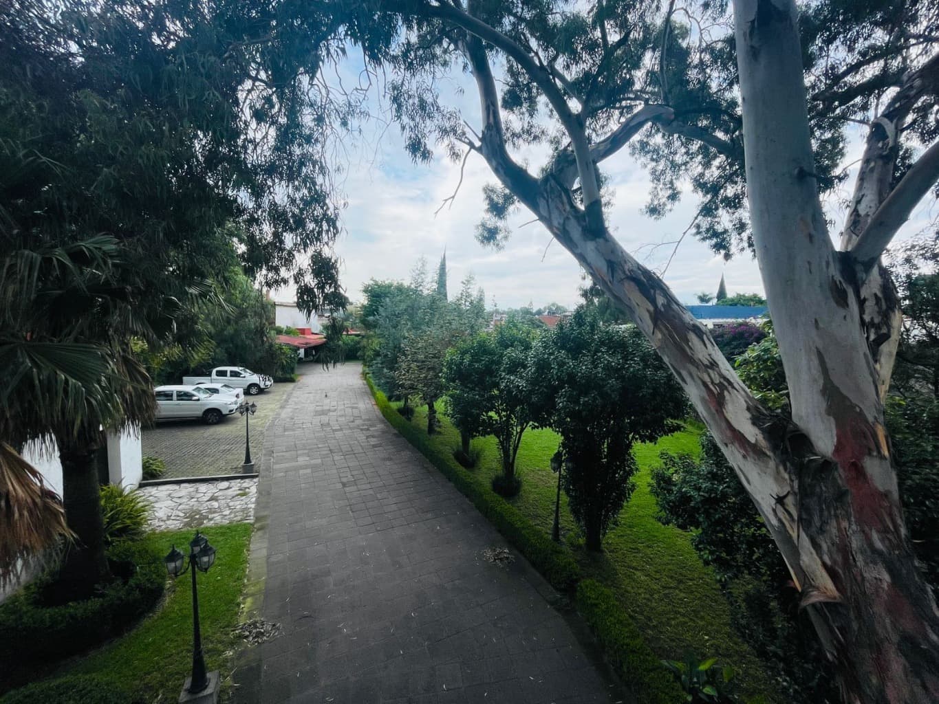 image-2
