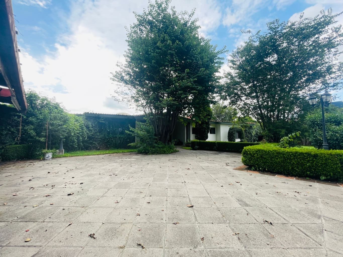 image-14