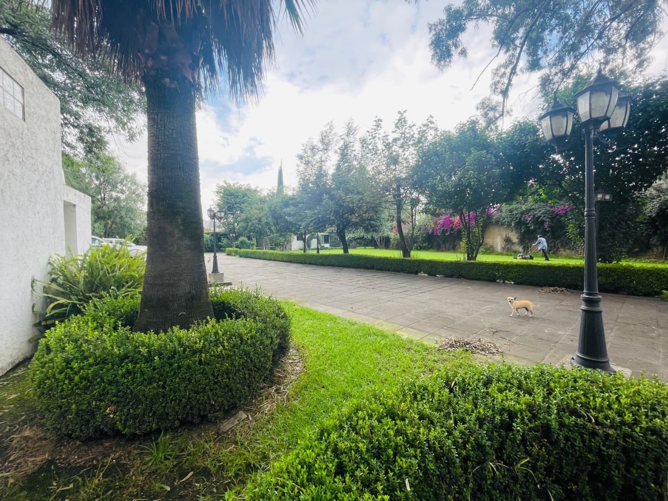 image-11