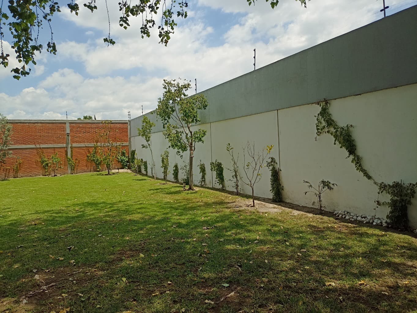 image-41