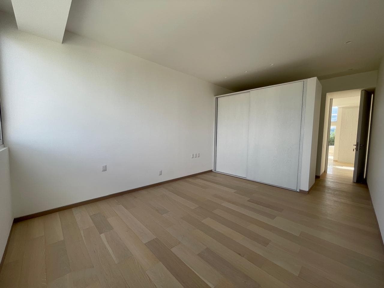 image-19