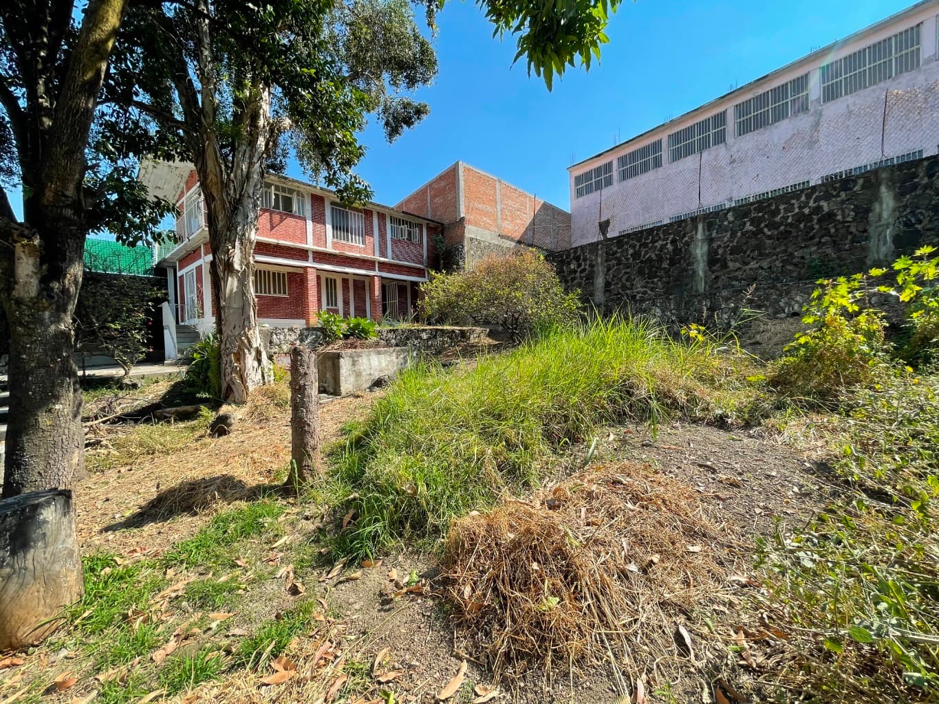 image-5