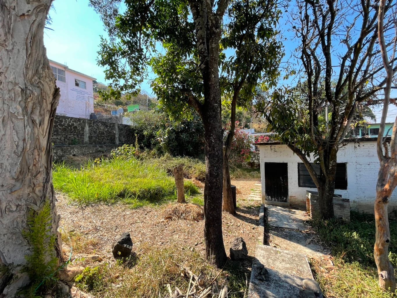 image-3