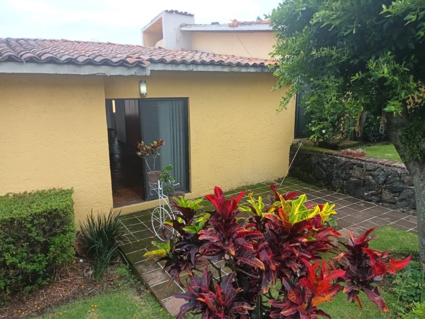 image-20