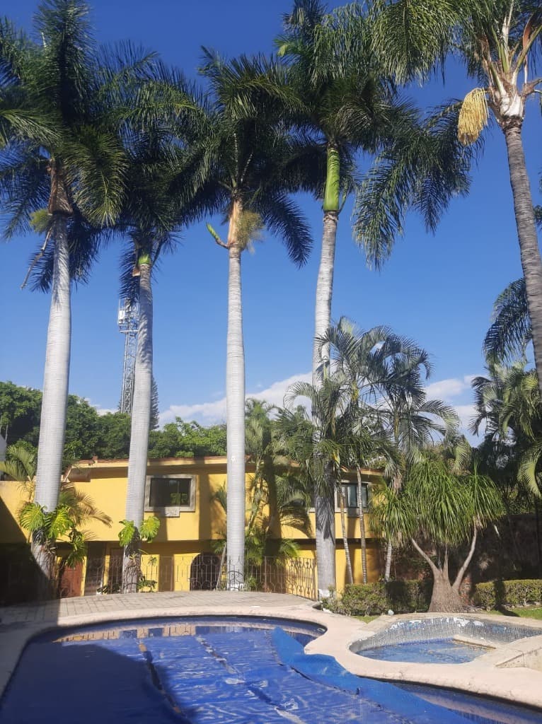 image-5