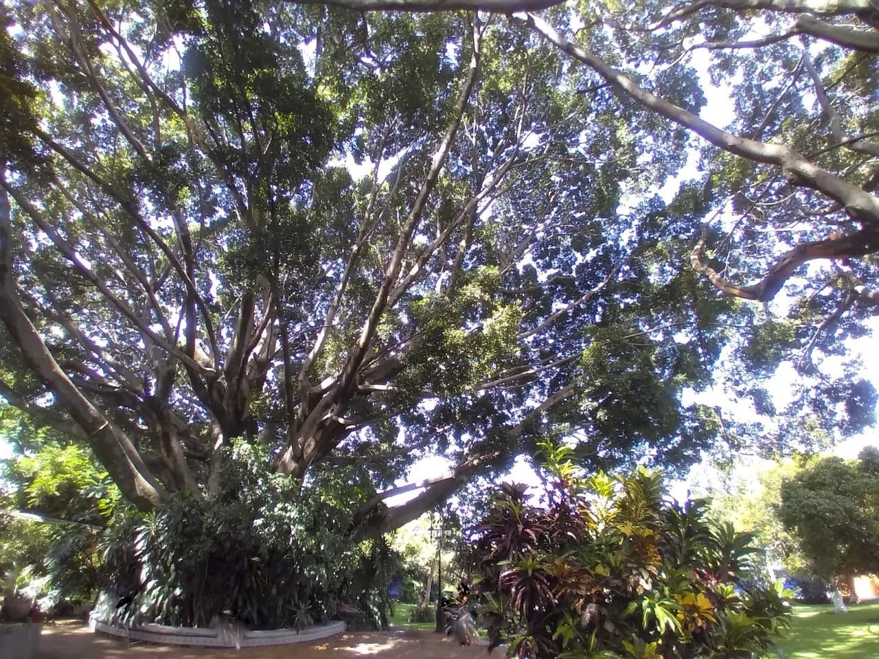 image-16