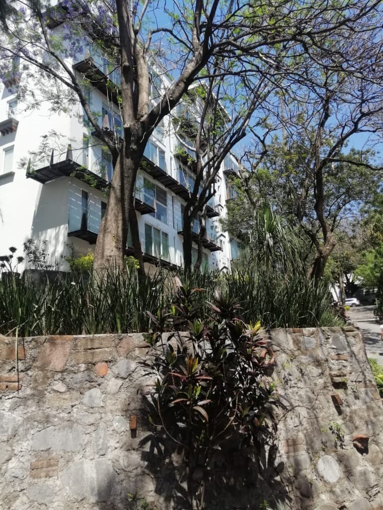 image-0