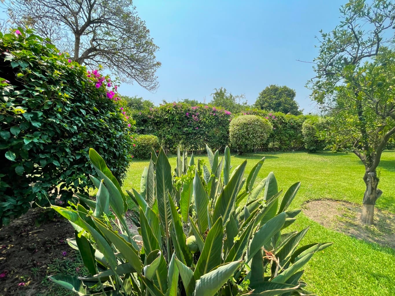 image-3
