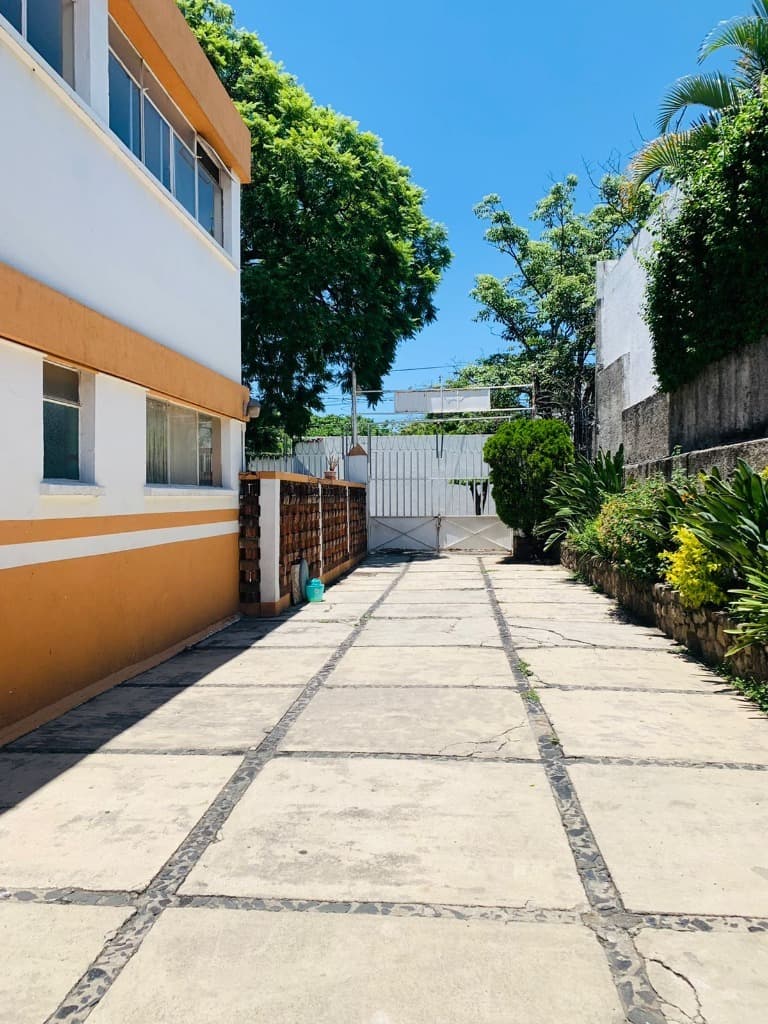 image-19