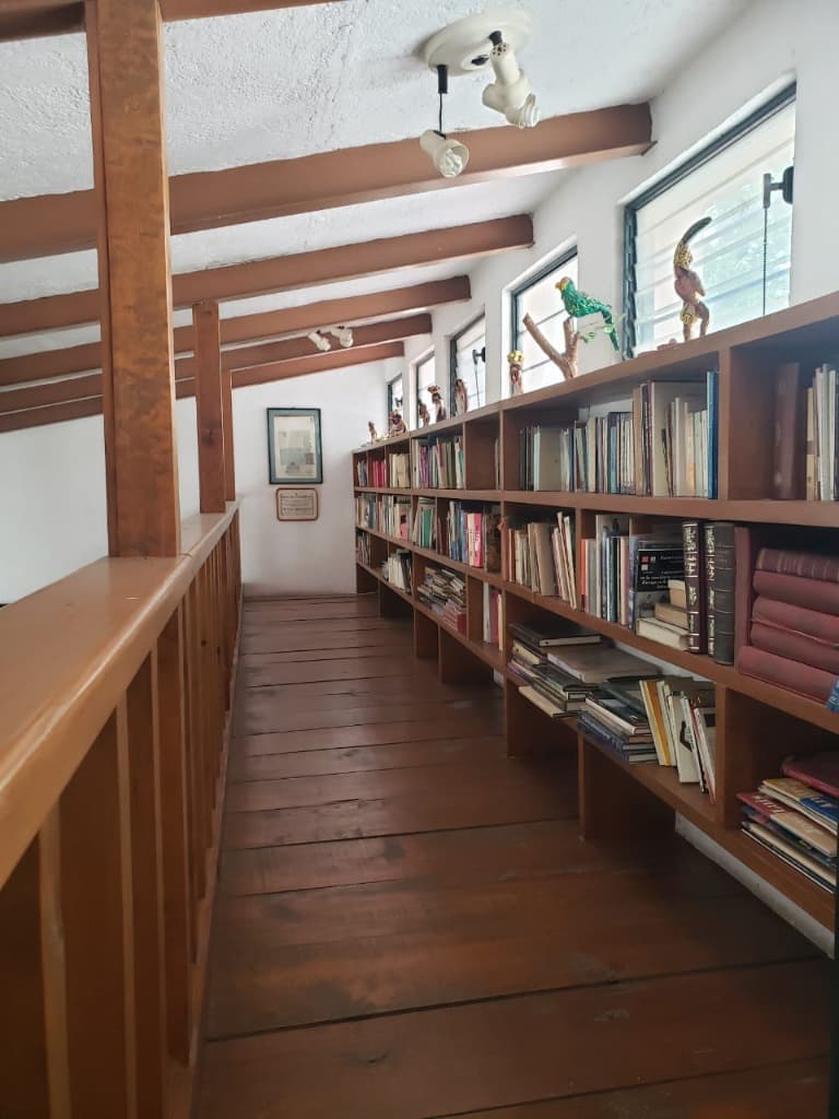 image-4