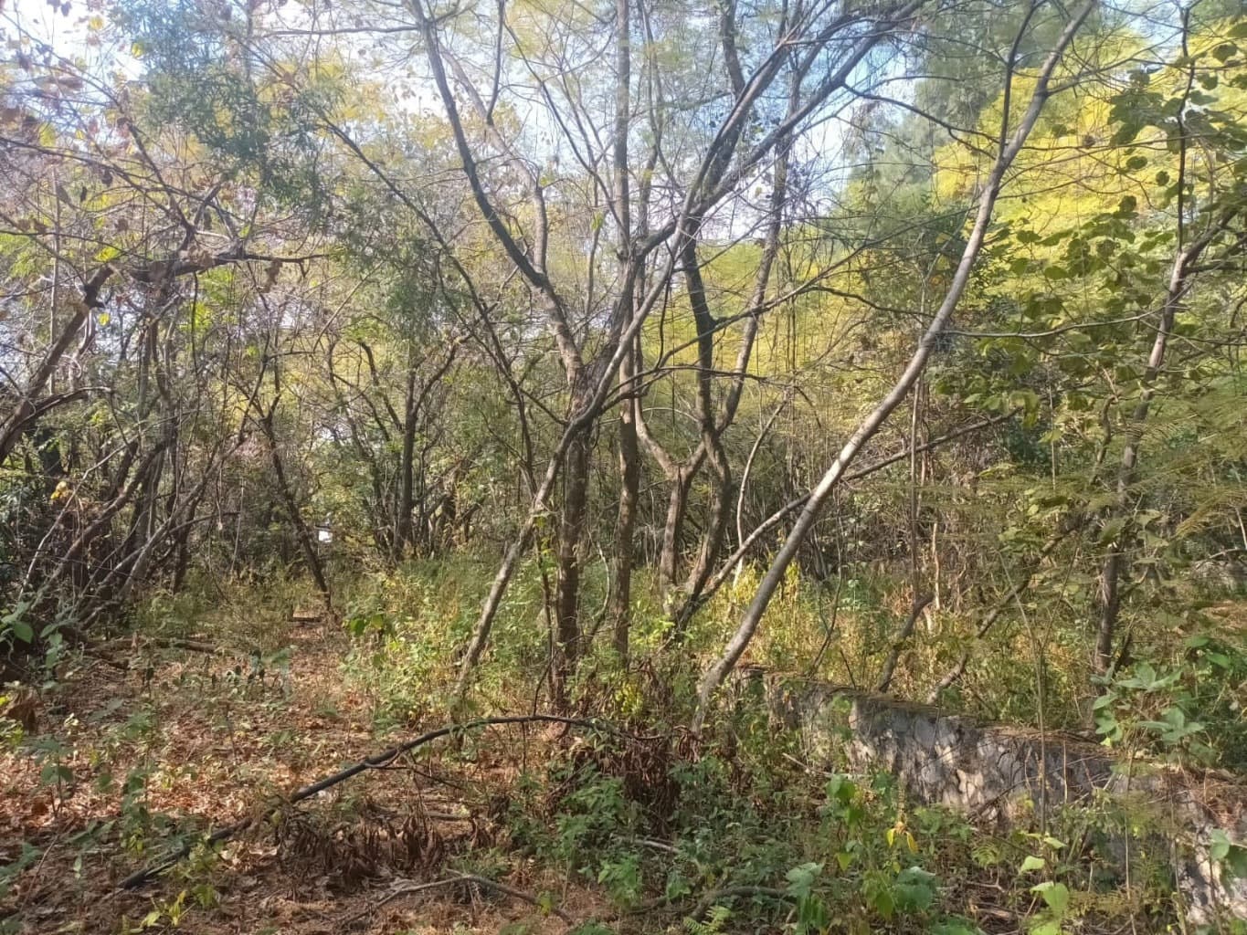 image-4
