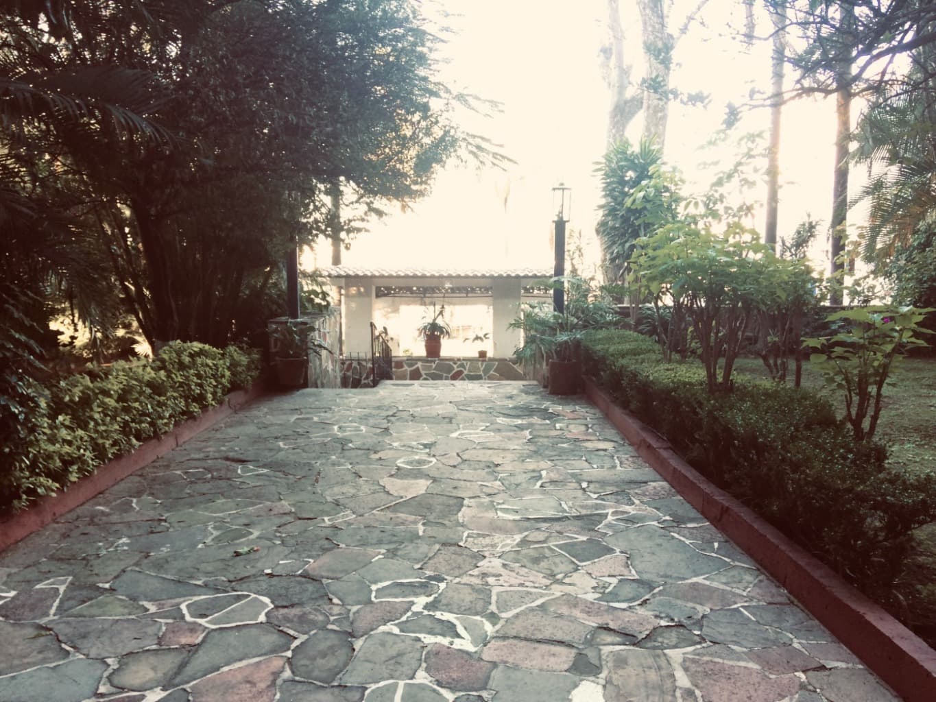image-20